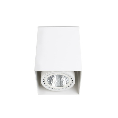 050402201 Faro TEKO - 1 White surface LED food 24W fish 56º