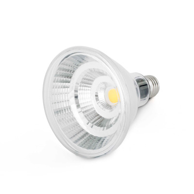 17398 TK-Lighting BULB PAR38 E27 LED 12W IP65 3000K 810Lm