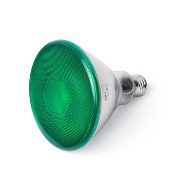 17399 TK-Lighting Bulb E27 PAR38 LED 10W 4000K 400LM green