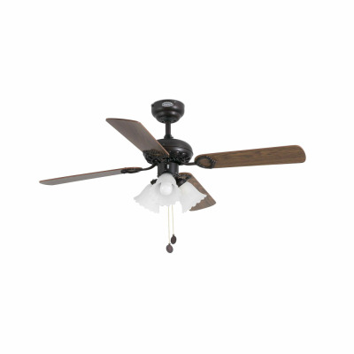 33102 Faro LISBOA S Brown fan