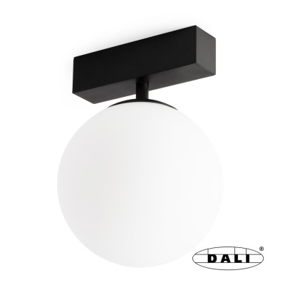 5010893002D Faro NESO UNIK 3000K BLACK DALI