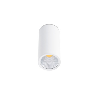 64198 Faro REL WHITE CEILING LAMP LED 15W 60° 2700K